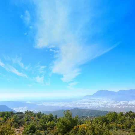 Liva * Uzumlu (Mediterranean)